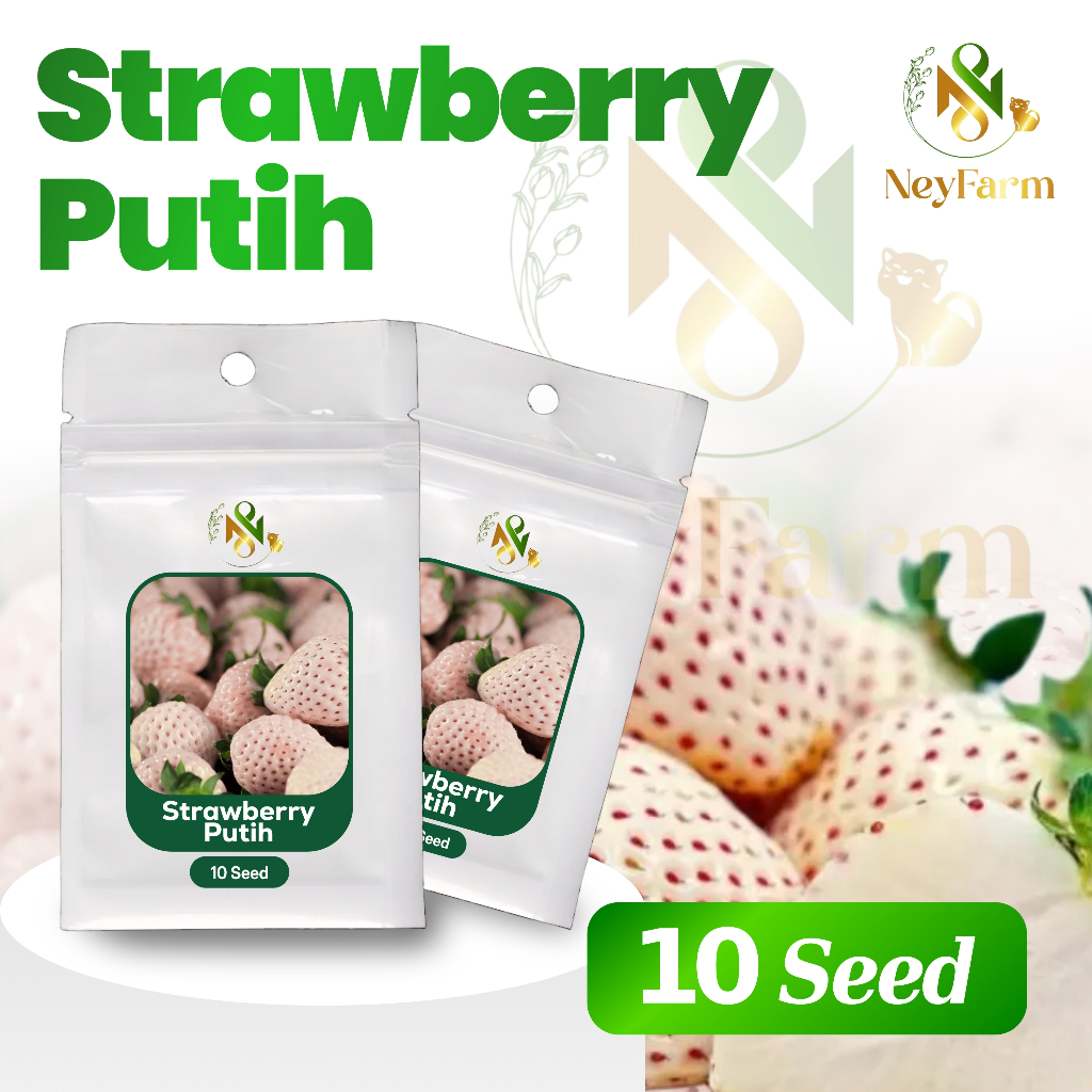 10 Biji Benih Strawberry Putih Buah Strawberry Putih Leoni MH F1 Benih Buah Berkualitas