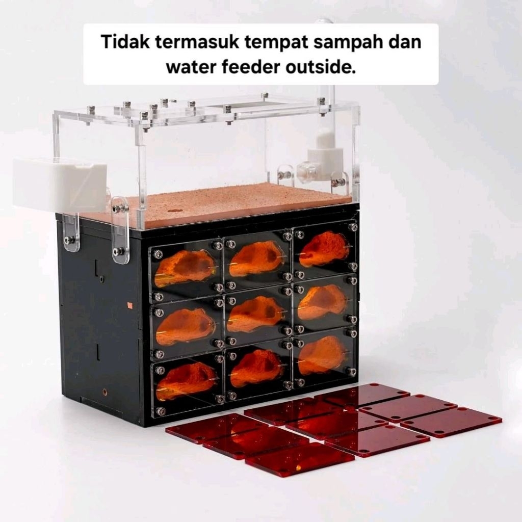 Formicarium Ecological Premium 9 Ruang, Formicarium akrilik, Formicarium kaca, ants nest, ant, gypsu