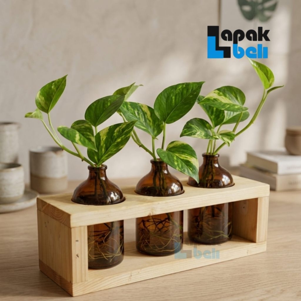 Vas Bunga Botol Pot Botol Estetik | Planter Tanaman | Standing Pot Kayu / Vas Bunga Kaca