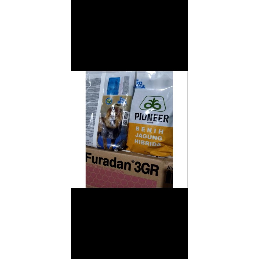 Link Pembelian jagung P32SINGA