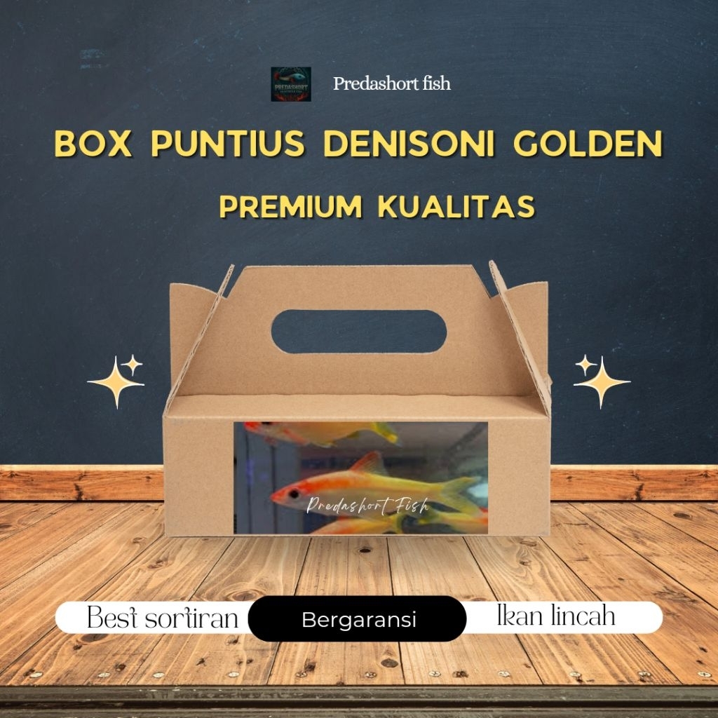 BOX kardus isi puntius denisoni golden premium berkualitas bergaransi