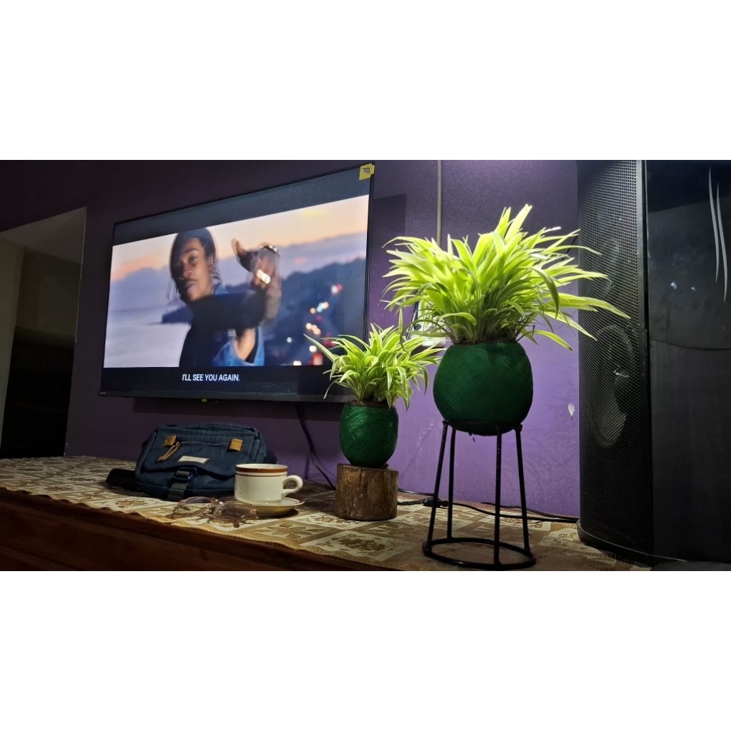 Bunga Hias - Kokedama - Bunga Hidup - Dekorasi - Bunga Indoor