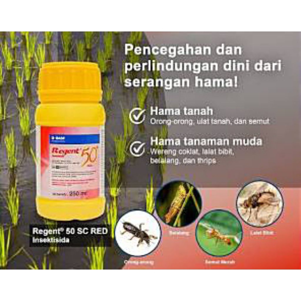 Insektisida Regent 50 sc Red
