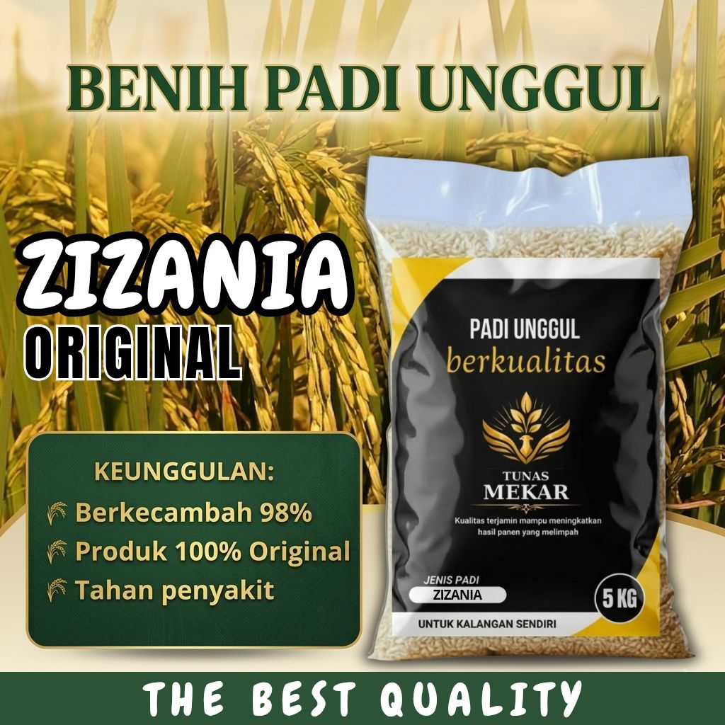 Benih padi unggul  ZIZANIA kemasan 5kg original
