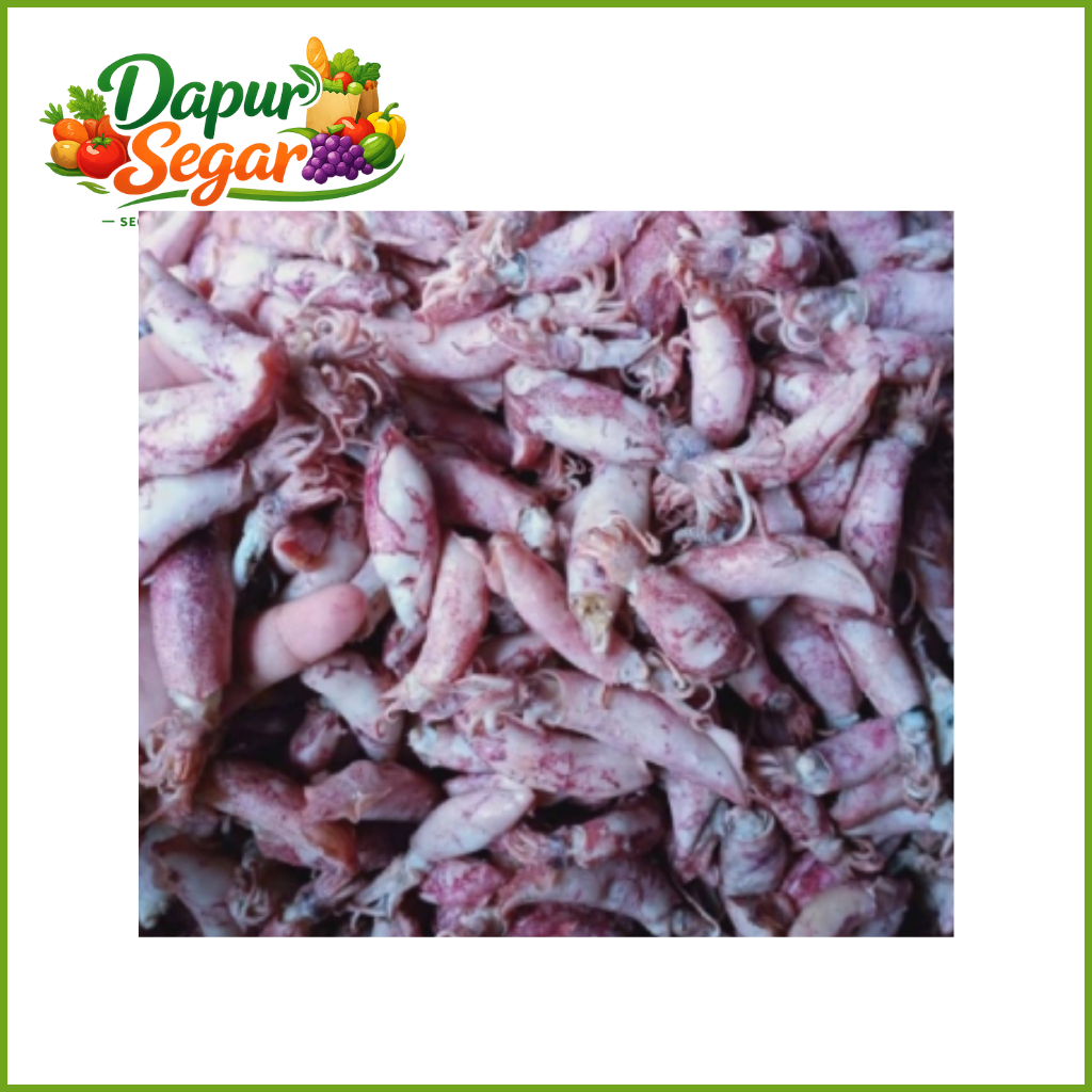 Cumi Asin 250 gr Sayur Instan Express Segar Bekasi