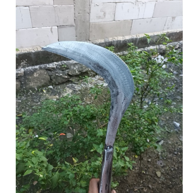 Sabit Arit Pengaritan Baja Gergaji Slendang