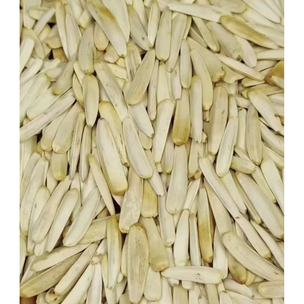 Kuaci Putih Panjang Premium Import | Biji Bunga Matahari Kulit Putih | Camilan Gurih Renyah