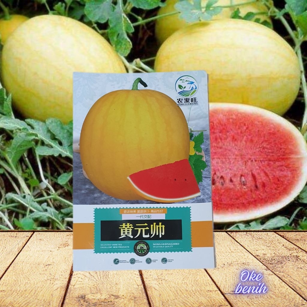 22 BUTIR BENIH/BIJI SEMANGKA GOLDEN RED