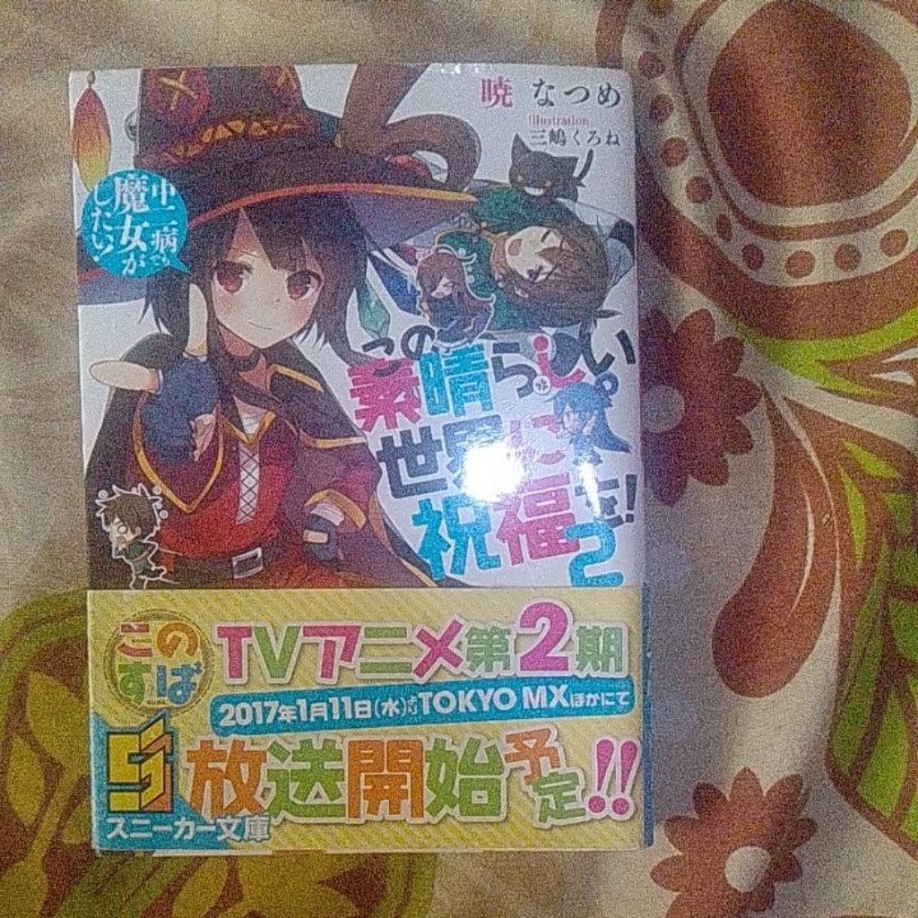 Light Novel Konosuba (japan) 2