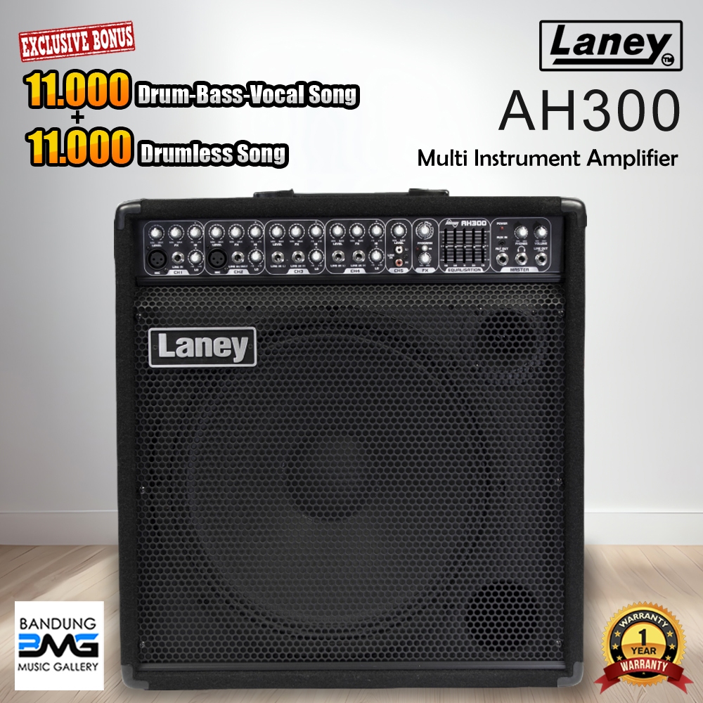 Ampli Laney AH300 Multi Instrument / Amplifier AH 300 / Laney AH300 / A H300 Speaker