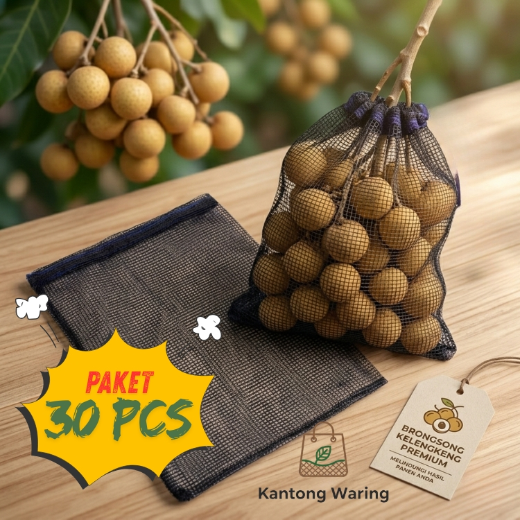 brongsong buah kelengkeng jaring pelindung buah dari hama