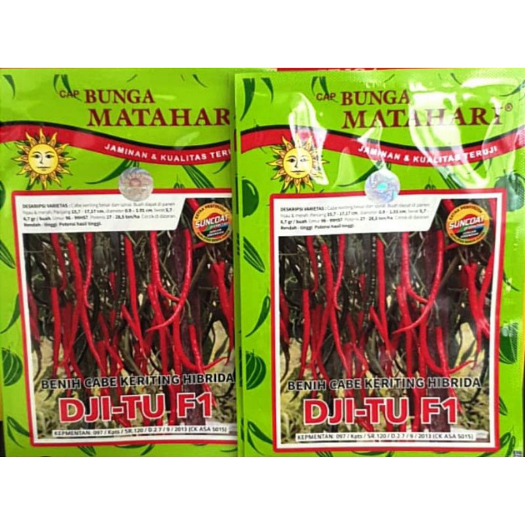 benih cabe keriting hibrida DJITU F1 isi 10 gram
