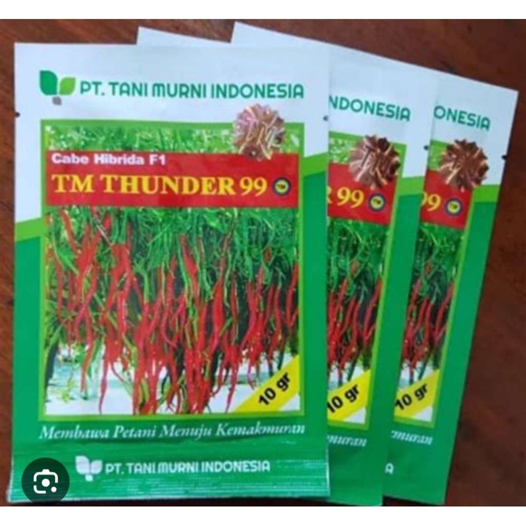 bibit cabai TM THUNDER 99