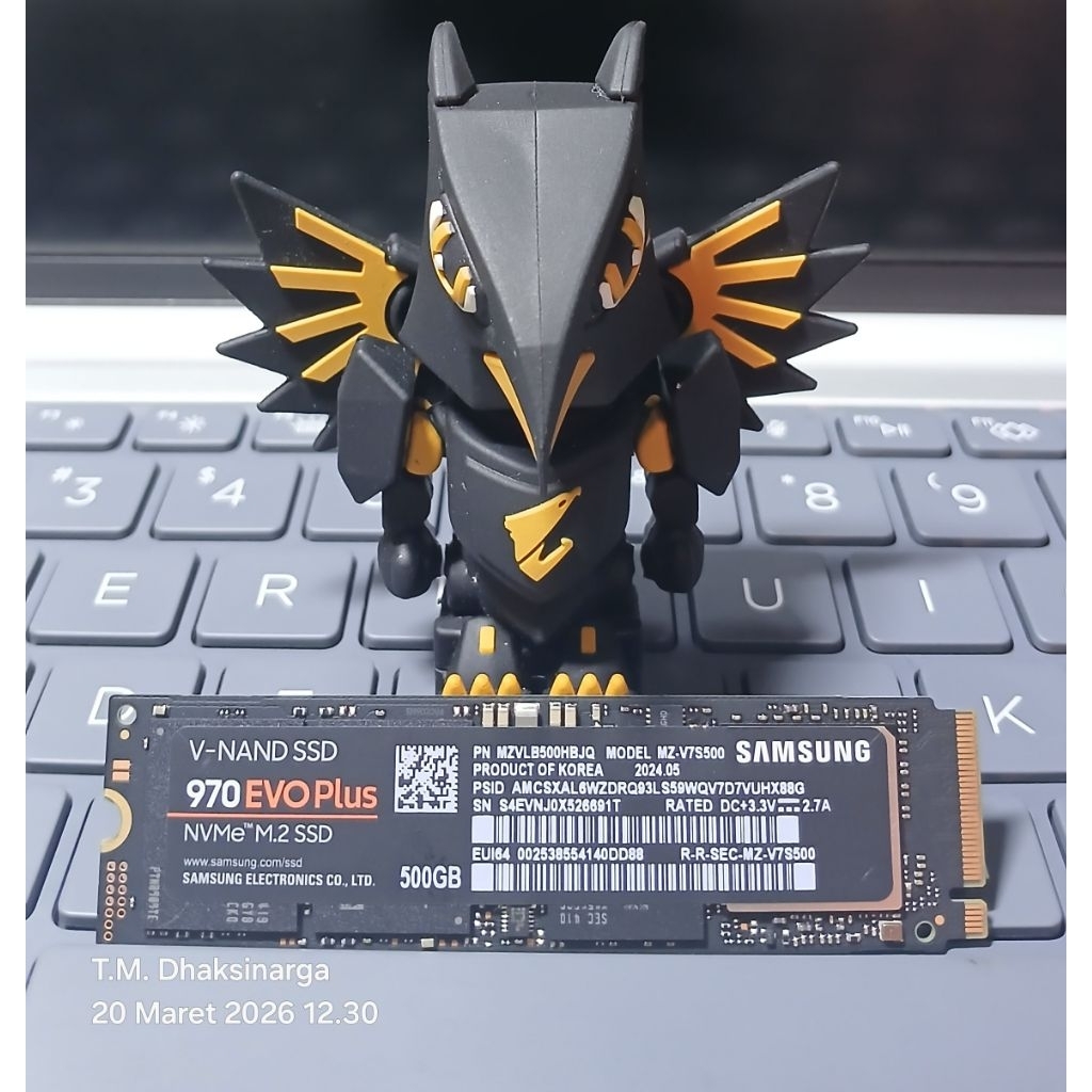 NVMe Samsung 970 Evo Plus 500Gb Garansi Bintang Mas