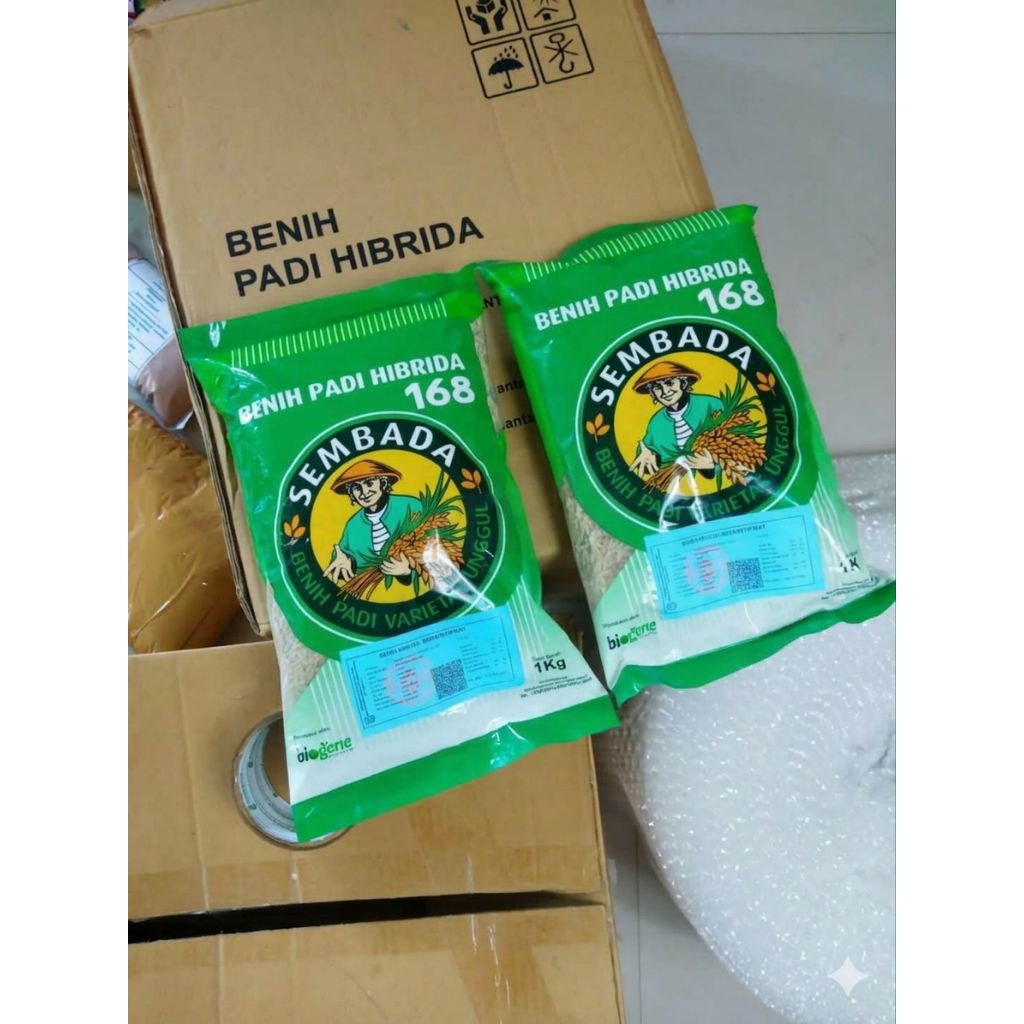 BENIH PADI HIBRIDA SEMBADA 168 ORIGINAL KEMASAN 1KG