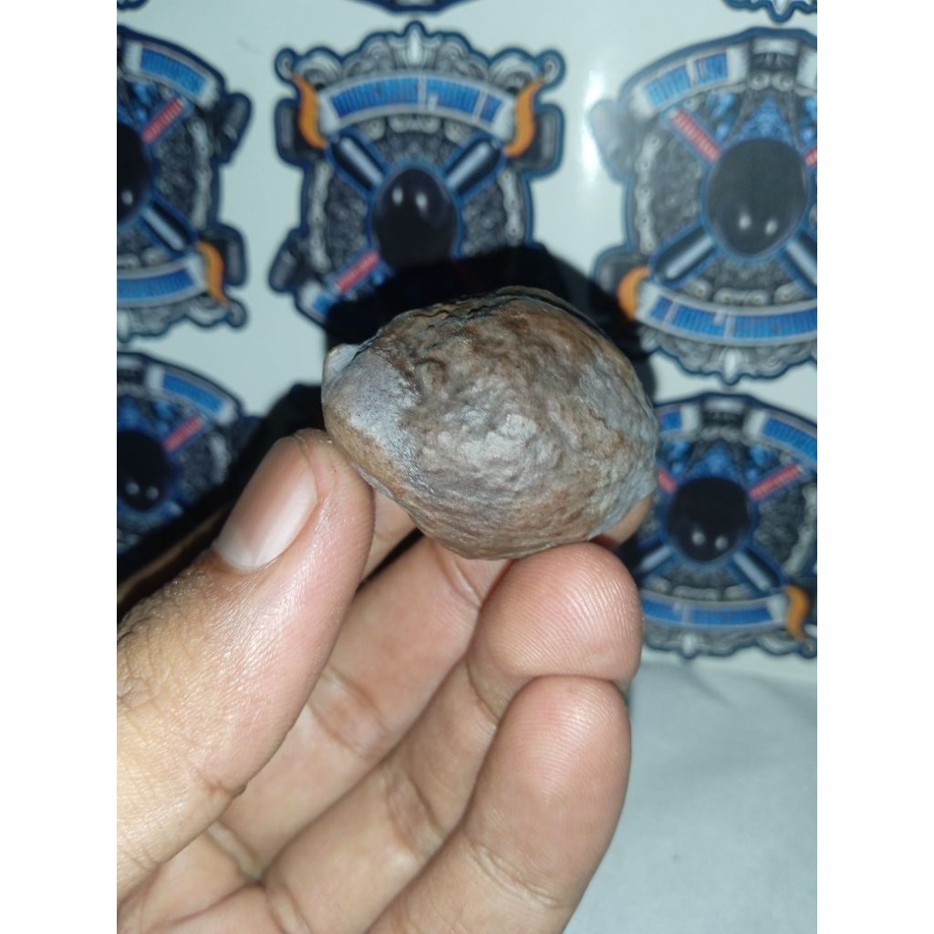 Muncang Adu Yanti Avatar URGEN/URAT GENEP ORIGINAL