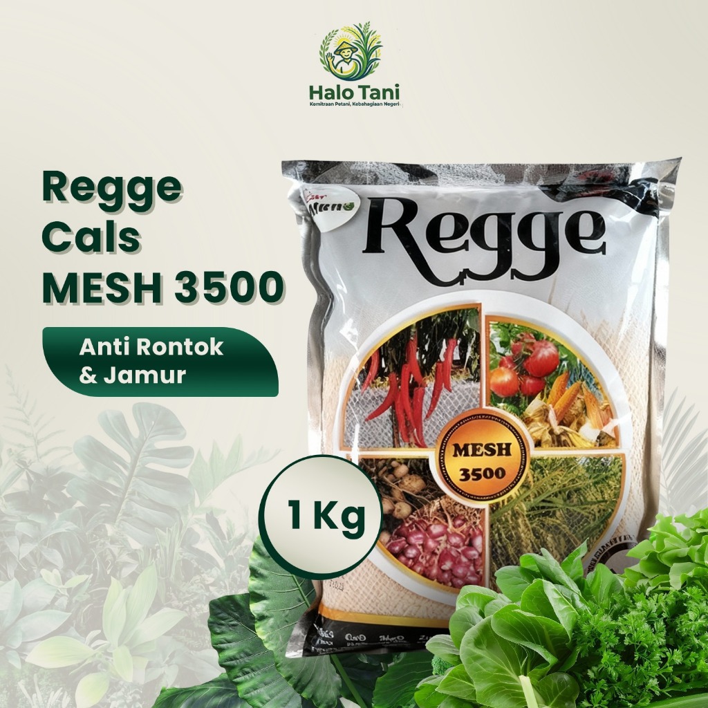 Pupuk Kalsium Regge Boron Zinc Pupuk Tanaman Buah Buahan Sayur Cabai Timun