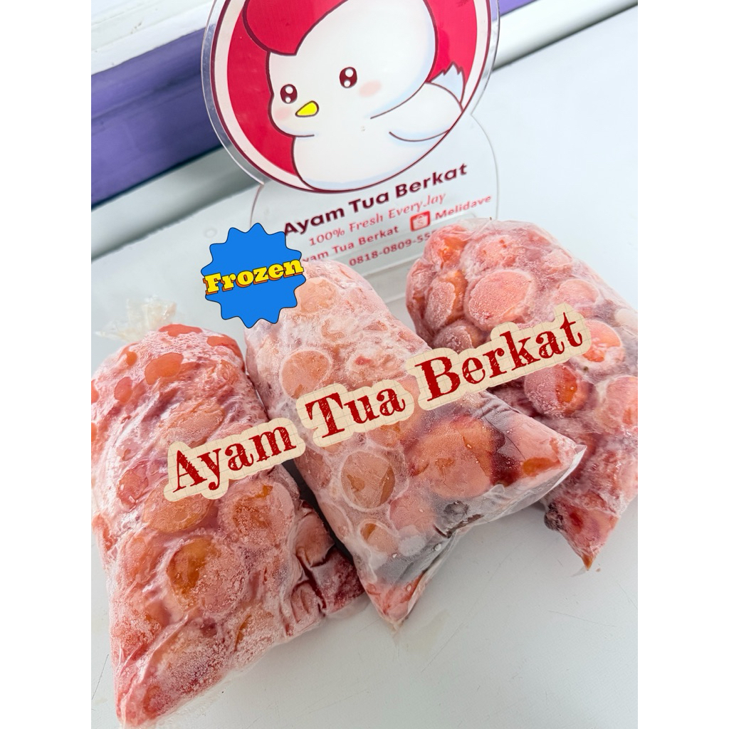 FROZEN Telur Muda Ayam Tua/ peren/ Uritan galatama mancing