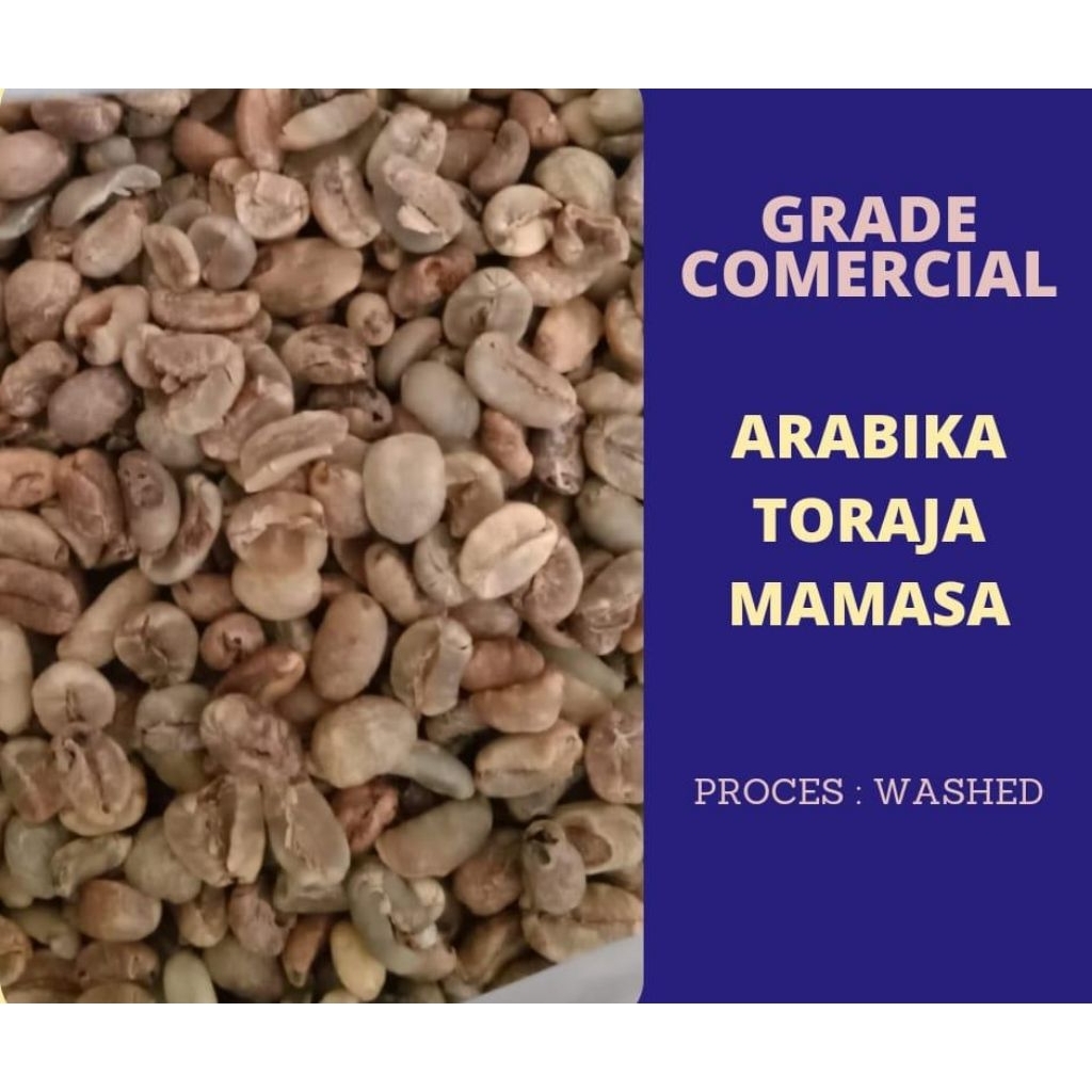 Biji Kopi Mentah / Green Bean Arabika Toraja Mamasa Grade Komersial 1Kg