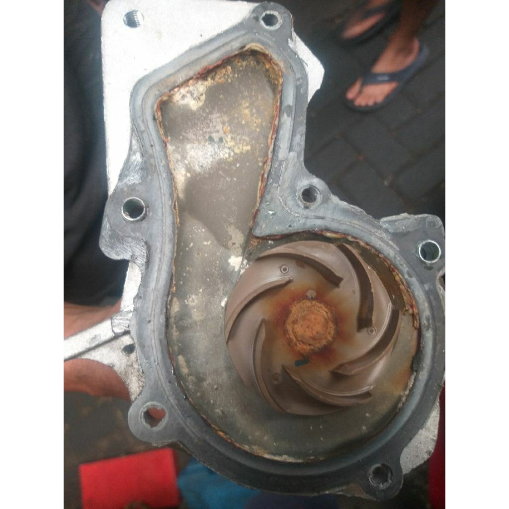 waterpump ford fiesta 1.5 matic