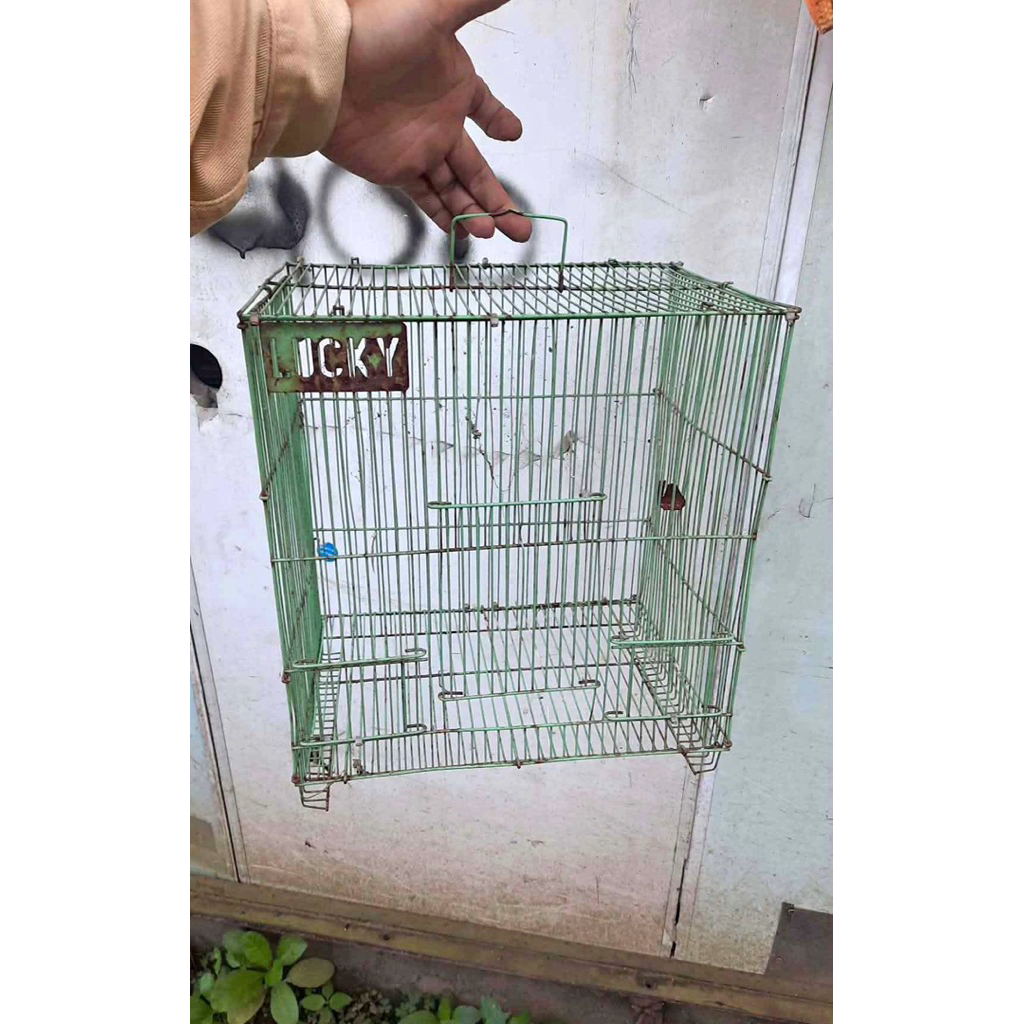 kandang burung kecil kotak