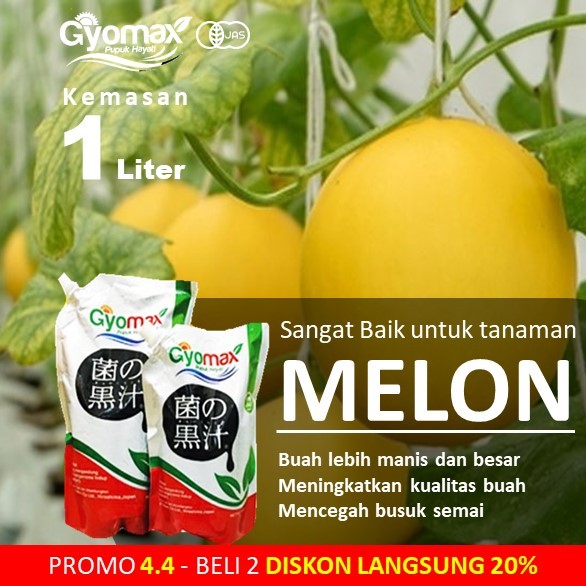 PUPUK MELON - GYOMAX - 1 LITER