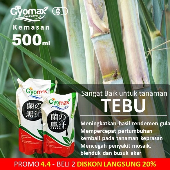 PUPUK TEBU - GYOMAX - 500 ML