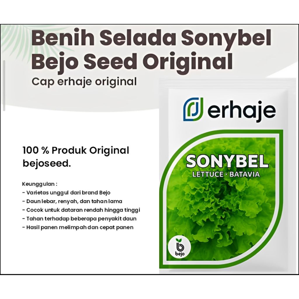 Benih Selada Batavia Sonybel Bejo seed 1 Gram
