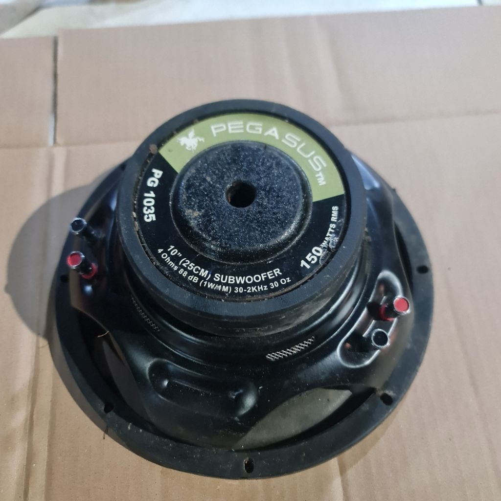 subwoofer 10 inch pegasus (daun sobek)