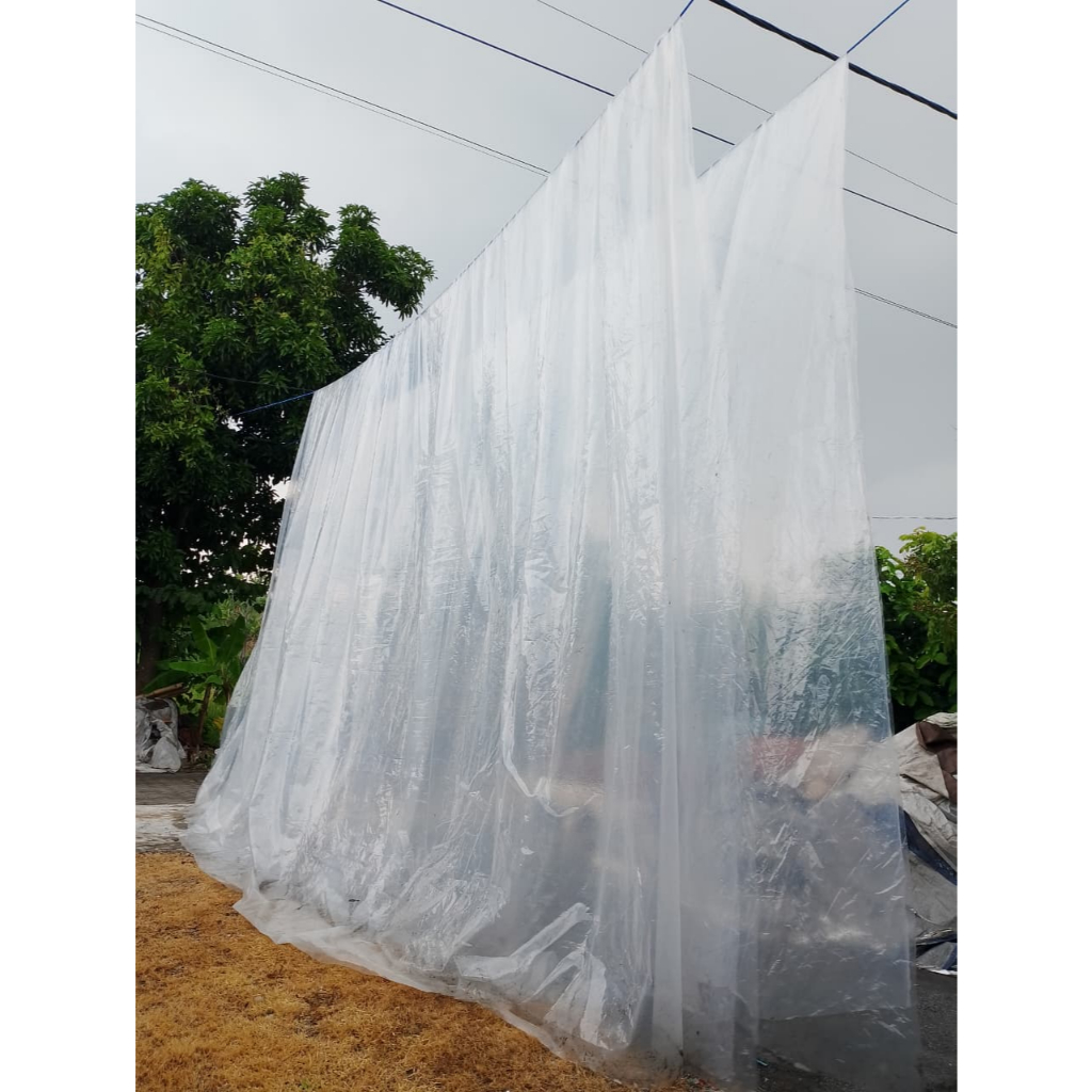 Plastik UV 7x8 meter Tebal 200 micron bekas