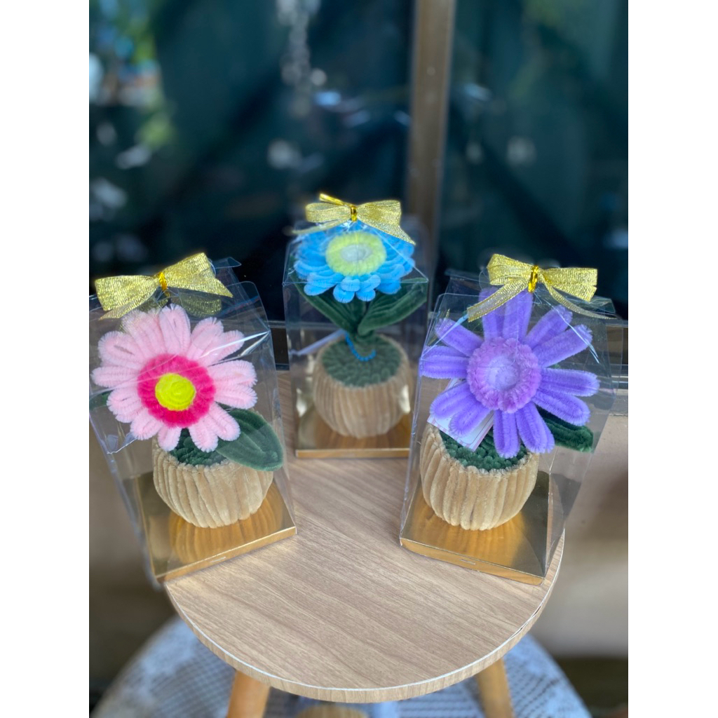 Bunga Pot Kawat Bulu Ready Batam || Pot dari kawat bulu || Gift Batam || Kawat Bulu + Box