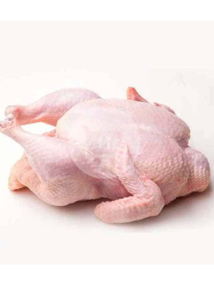 Ayam Kampung Asli Potong Segar (Betina atau Jago)