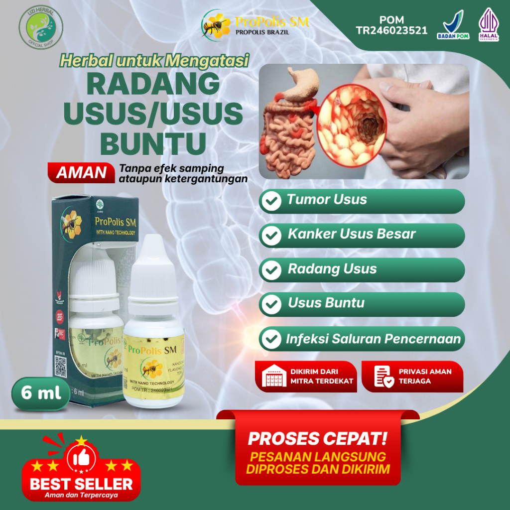 Obat Tumor Usus, Kanker Usus Besar, Radang Usus, Penyakit Usus Buntu, Kram Perut, Infeksi Saluran Pe