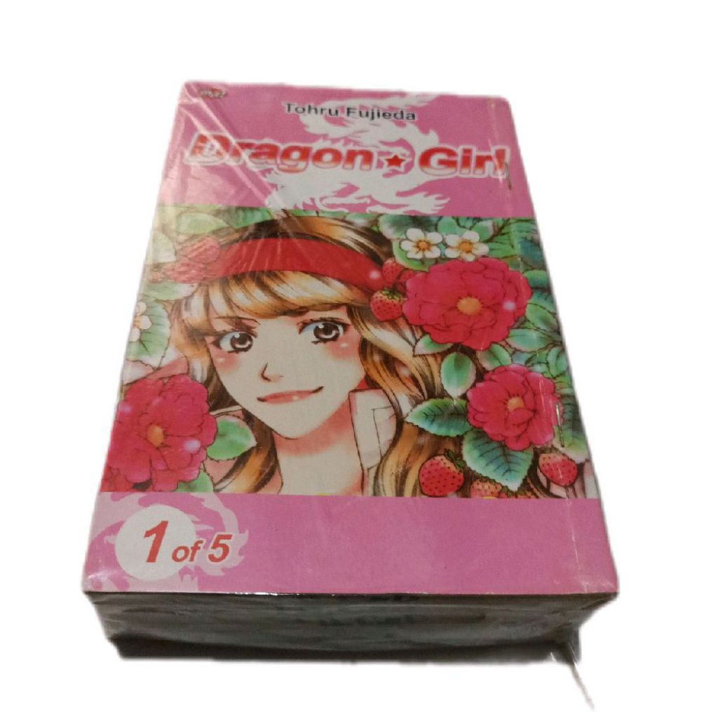 komik dragon girl by tohru fujieda