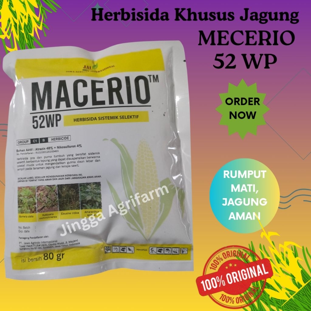 Herbisida Obat Rumput Jagung Macerio 32 WP