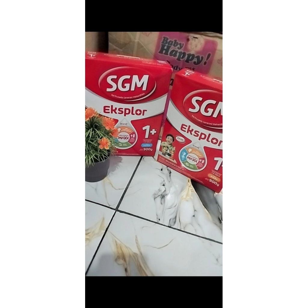 SGM 1+