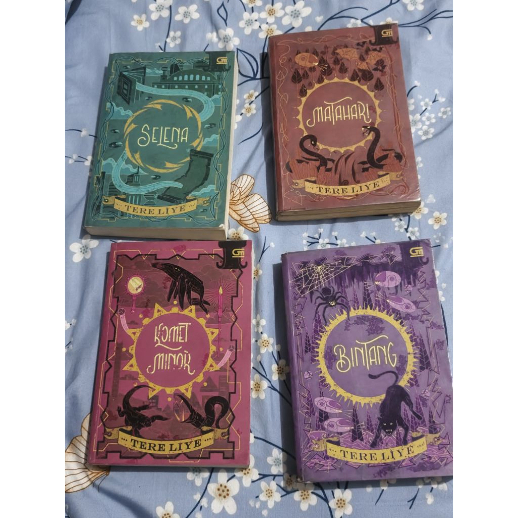 novel BUMI SERIES tere liye preloved original