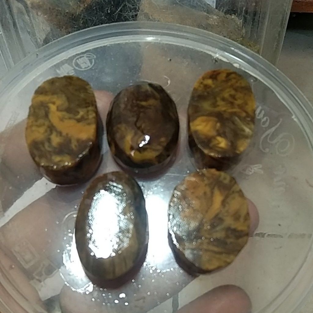 BATU FOSIL KELOR EMAS CRYSTAL MOTIF PAMOR