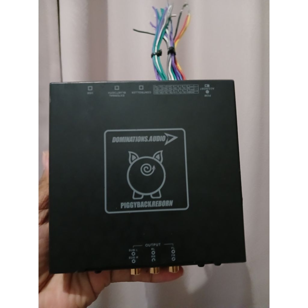 DSP Dominations audio Piggybeck reborn
