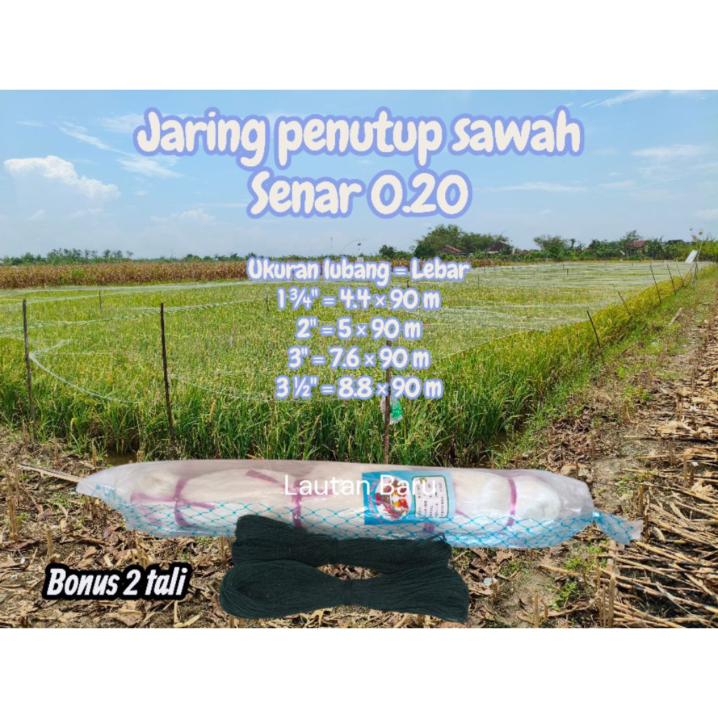 JARING SENAR 0.20 JARING BURUNG SAWAH 2 TALI
