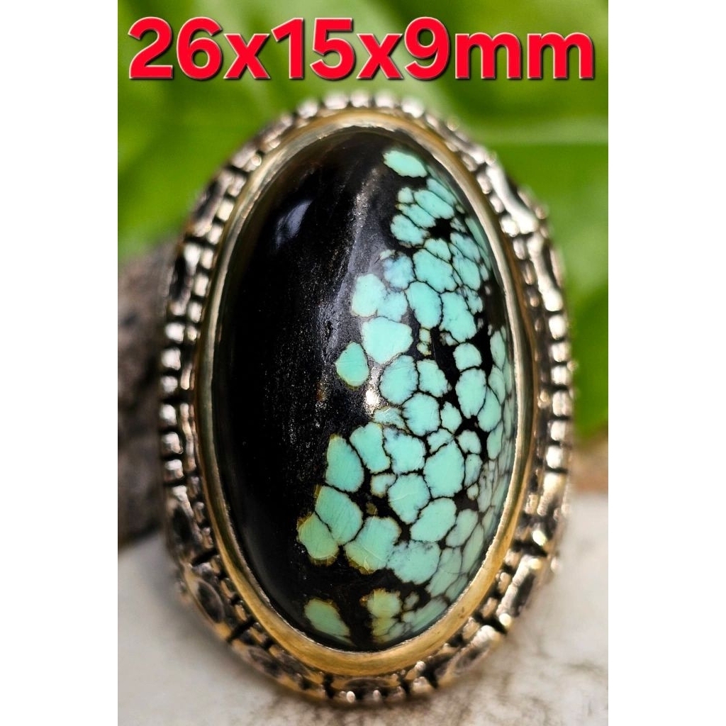 Unik Pirus Hubei Alami karakter HUDSON Polos Vs Berurat