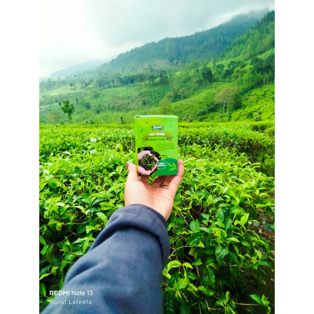 Teh Hijau 100% Natural Teh Hijau Asli Jamus Teh Tanpa Campuran Teh Hijau