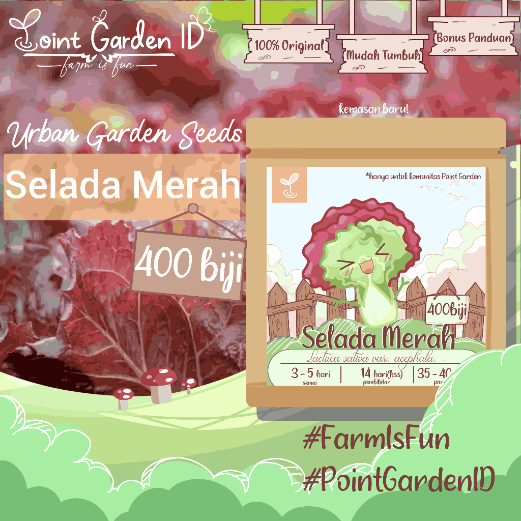 400 biji- Benih Bibit Selada Merah SUPER, Tahan Penyakit, Benih Unggul, Benih Seribuan