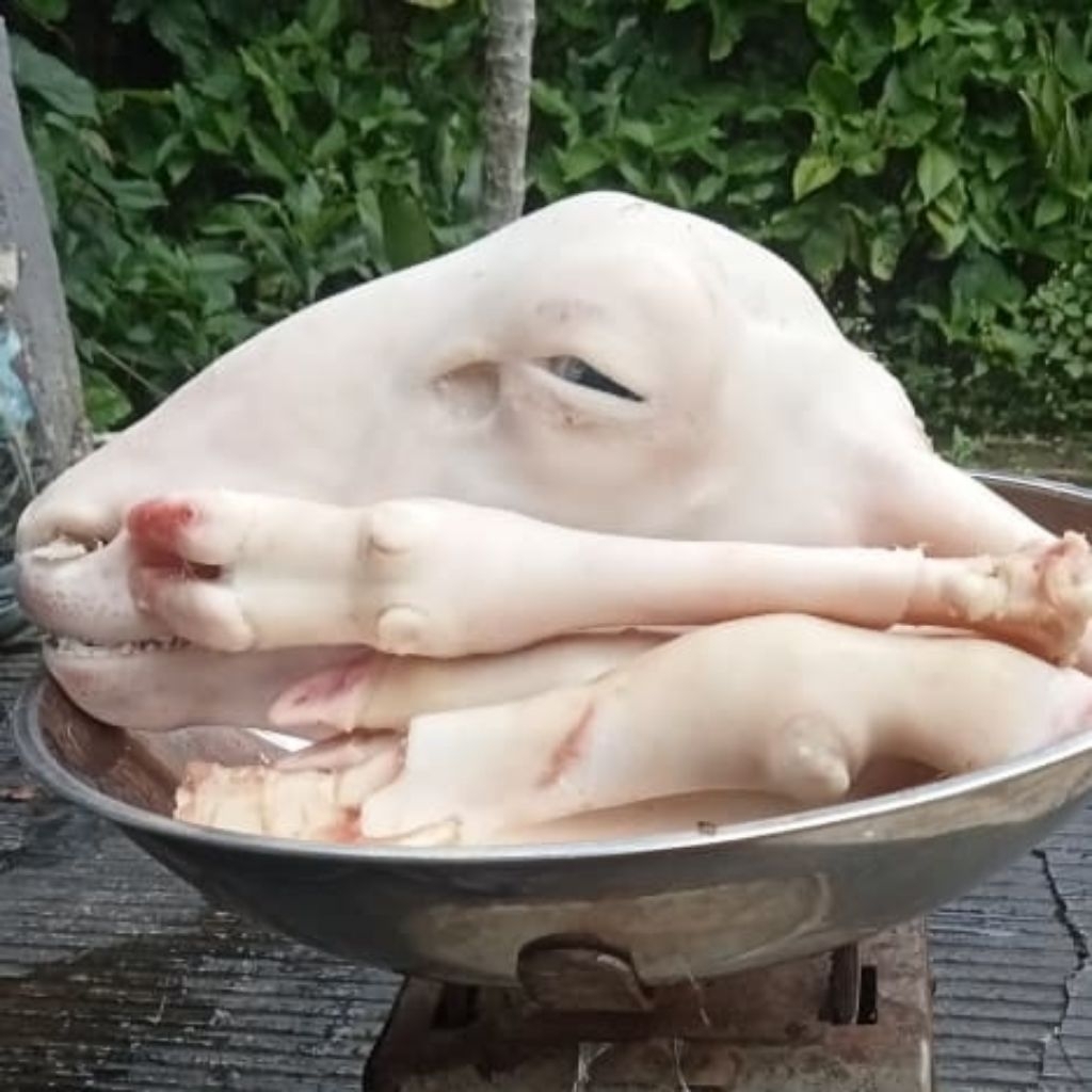 kepala kambing utuh mentah plus kaki 4