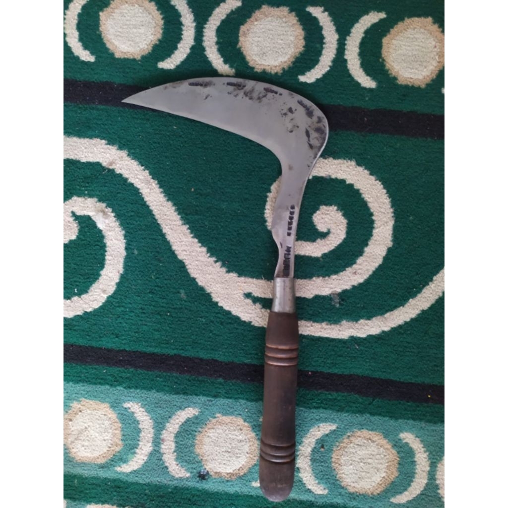 arit rumput baja isen wonosobo