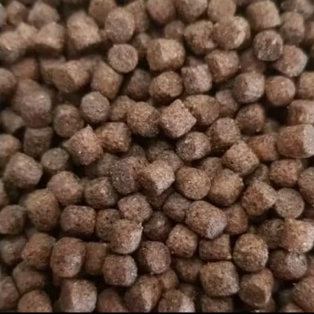 TERLARIS Pelet apung pakan ikan lele nila bawal 1kg