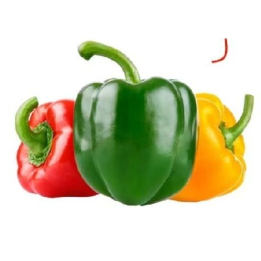 PAPRIKA 1 BUAH