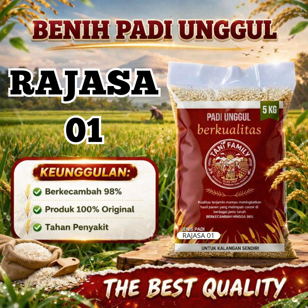 Benih padi unggul RAJASA 01 kemasan 5kg original