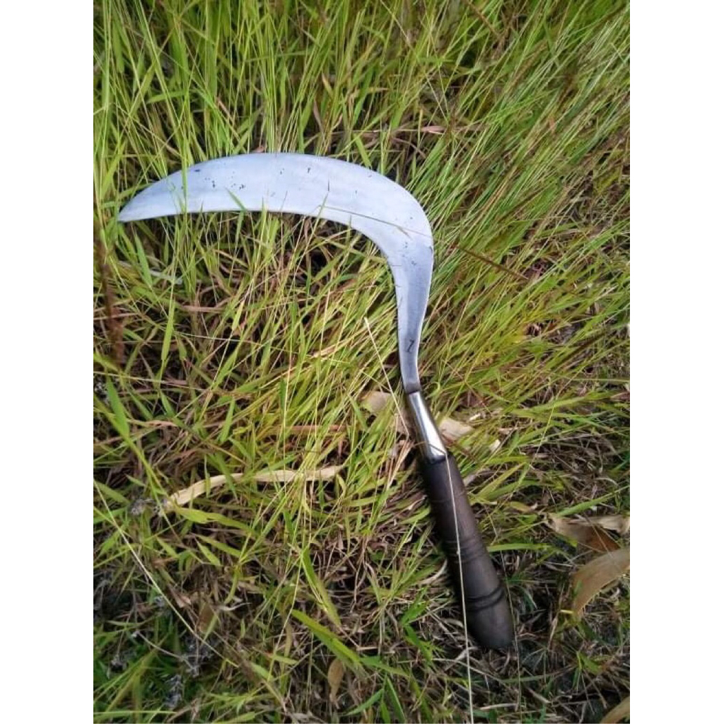 sabit rumput cap z asli Madura