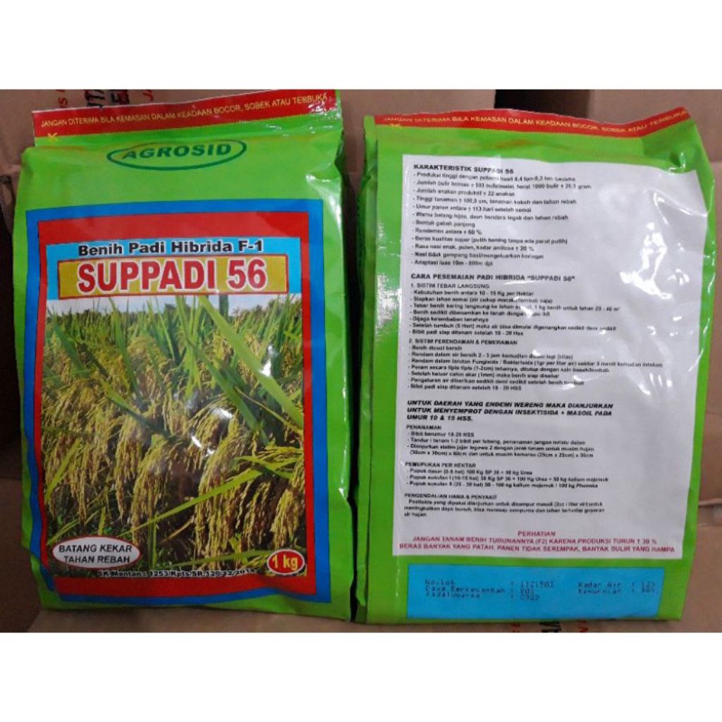 5 KG Benih Padi Hibrida Suppadi 56 - Hasil Tinggi, Tahan Rebah, Kualitas Super